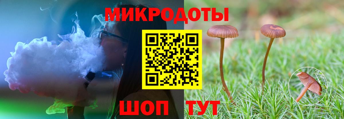 Псилоцибиновые грибы прущие грибы  Вход с VPN  Камень-на-Оби 